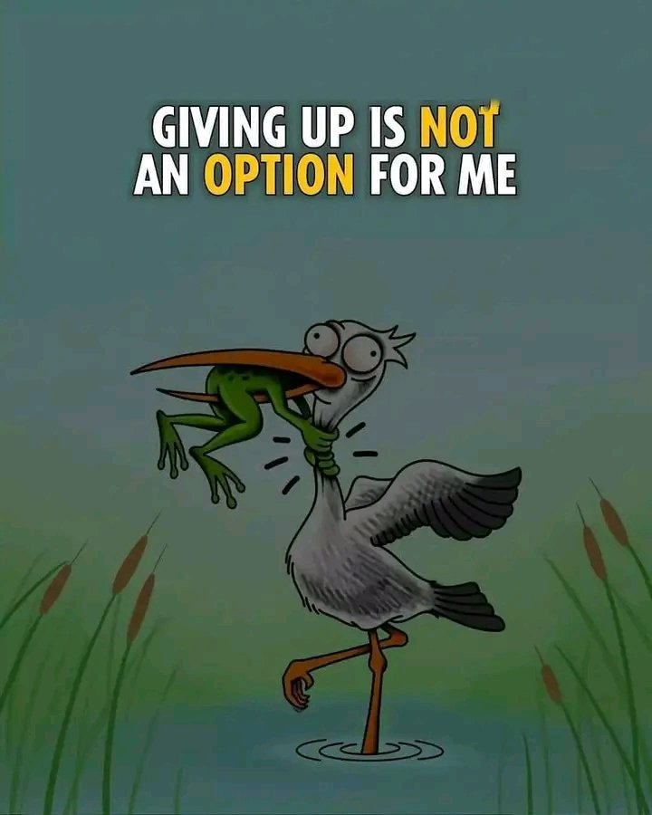 Keep your head down and work hard and smart