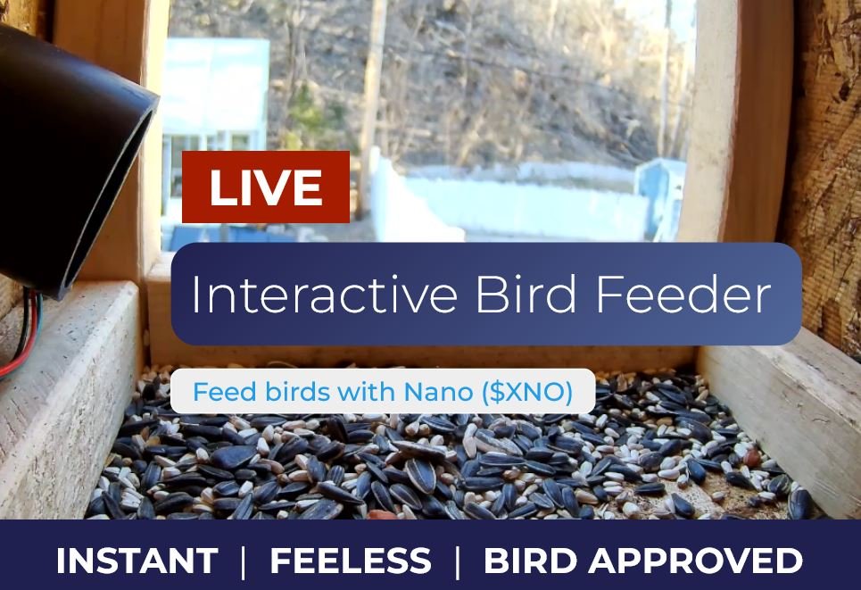 Building a Nano-Powered Bird Feeder