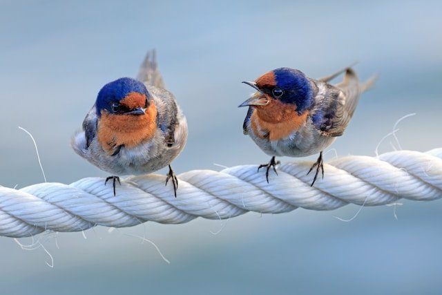 Fixable: Civil war of words